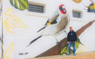 El artista alcazareño Jops Art inunda de trinos la nueva sede de la Asociación de Canaricultores